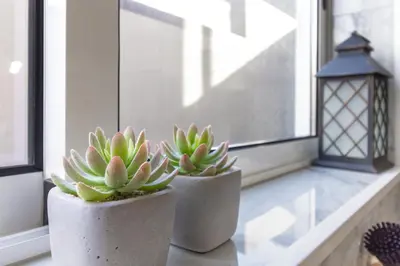 two potted plants sitting on a window sill at Villa Machico Valley Flat 2 in Machico
