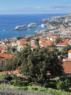 a view of a city with ships in the water at Latin House in Funchal