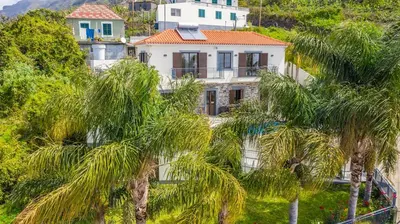 a house on a hill with palm trees at Country Escape in Ribeira Brava