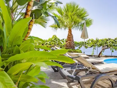 a row of chaise lounge chairs on a beach with palm trees at Quinta Golfinho - Casa Frangipani in Arco da Calheta