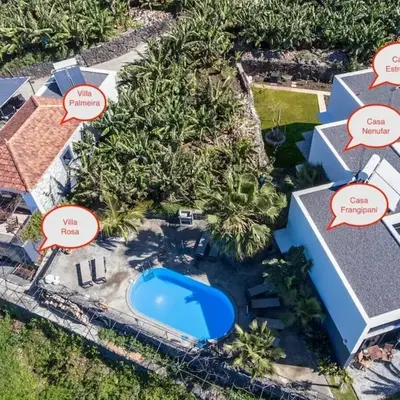 Quinta Golfinho - Casa Frangipani