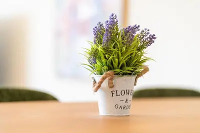 a plant in a flower pot on a table at GuestReady - Seaview Escape in Câmara de Lobos