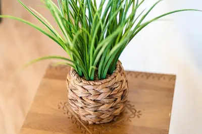 a plant in a basket sitting on a table at GuestReady - Seaview Escape in Câmara de Lobos