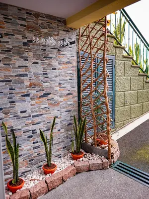 a group of plants in front of a brick wall at LaurissilvaLodge in Senhora do Rosário