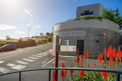 a building on the side of a street with red flowers at Bianka & Jose Apartment Funchal Madeira in Funchal