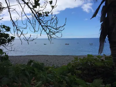 a view of the beach from the resort at Aqua Sea House in Madalena do Mar
