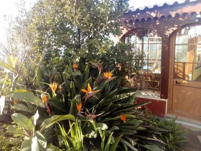 a plant with orange flowers in a greenhouse at Holiday Home Erdhaus by Interhome in Fajã da Ovelha