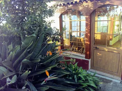 a house with a bunch of plants in front of a door at Holiday Home Erdhaus by Interhome in Fajã da Ovelha