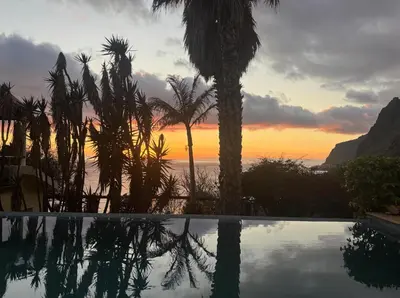 a sunset through the branches of a tree at Suite Vigia Jardim in Jardim do Mar