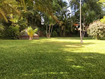a yard with green grass and palm trees at Apartment Funchal Wohnung mit Pool by Interhome in Funchal