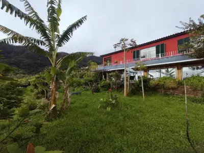 a house with a palm tree in front of it at casa do campo in Machico