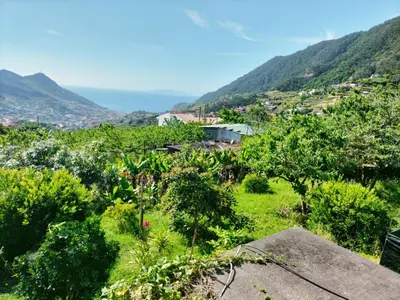 a view from the roof of a house with trees and mountains at casa do campo in Machico