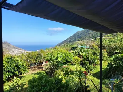 a view from the house of the garden and the ocean at casa do campo in Machico