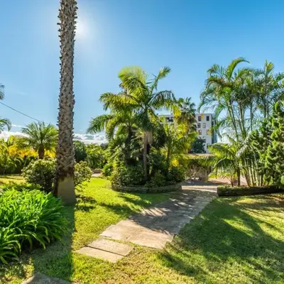Quintinha de São Martinho - Villa & Lux