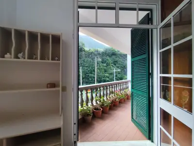 an open door to a balcony with potted plants at Narciso's House in São Vicente