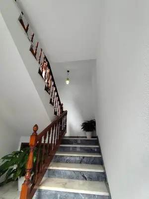 a staircase in a house with a potted plant at Narciso's House in São Vicente