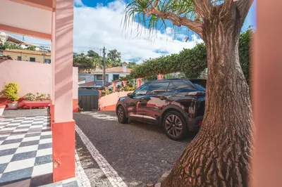 a car parked next to a tree on a street at Casa dos Francelhos by Atlantic Holiday in Funchal