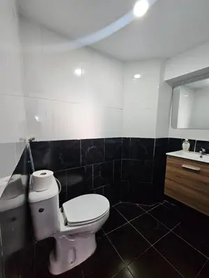 a bathroom with a toilet and a sink at Villa Barros in Câmara de Lobos