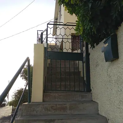 a dog is sitting in the door of a house at Yellow owl in Campanário