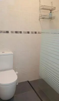 a white bathroom with a toilet and a shower at Yellow owl in Campanário