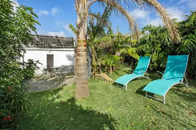 two blue chairs sitting next to a palm tree at Sunset Cliffs By Slice Of Heaven in Ribeira Brava
