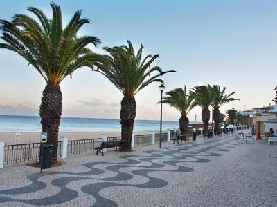 a row of palm trees on a sidewalk near the beach at Breathtaking ocean views in Praia da Luz #1992 in Luz