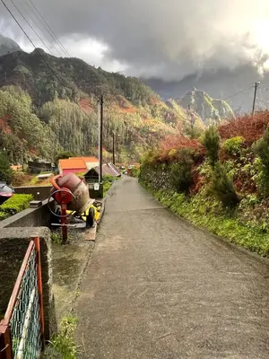 a dirt road with a mountain in the background at Forest View Countryside in Serra de Água