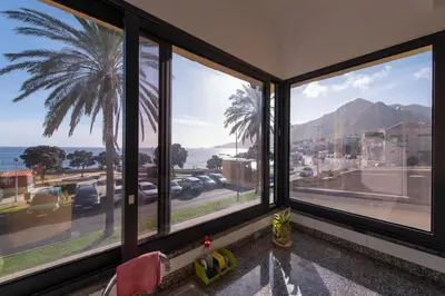 a room with windows with a view of a palm tree at Apartamentos Amarelo in Caniçal