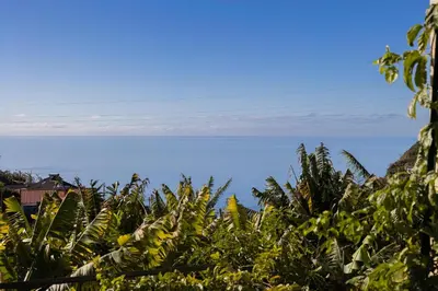 a view of the ocean from a banana plantation at Romantic Seaview Wine House in Madeira in Ponta do Sol