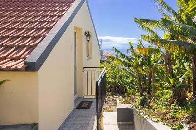 a white house with a gate and palm trees at Romantic Seaview Wine House in Madeira in Ponta do Sol