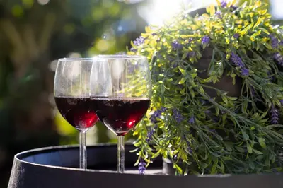 two glasses of red wine sitting on a table at Romantic Seaview Wine House in Madeira in Ponta do Sol
