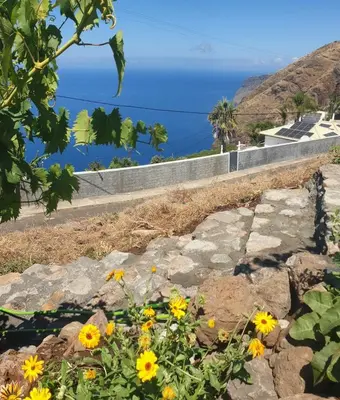 a view of the ocean from a hill with flowers at Farol views in Fajã da Ovelha