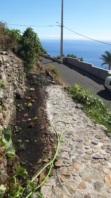 a garden with a hose on the side of a road at Farol views in Fajã da Ovelha