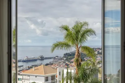 a view of a palm tree from a window at Casa da Badé in Funchal