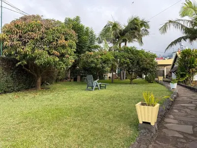 a park with a bench in a yard with trees at Casa da Cruz in Ponta do Sol