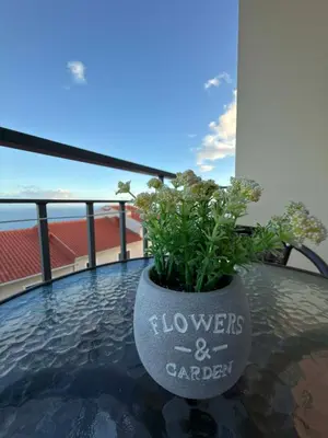 a potted plant sitting on a table on a balcony at A&CSuite in Caniço