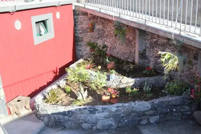 a stone stairway with plants in a garden next to a building at A Casa da Carolina in São Vicente