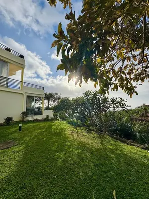 a yard of a house with a green lawn at Apartamento Precioso in Arco da Calheta