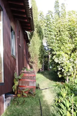 a garden next to a house with a tree in the yard at Holiday Home in Canhas mit Schönem Garten by Interhome in Ponta do Sol