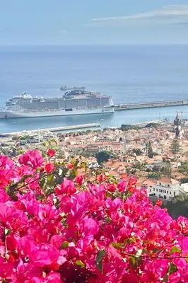 a bunch of pink flowers with a cruise ship in the water at Holiday Home Ideales Familienhaus mit freiem Stadt- und Meerblick by Interhome in Funchal