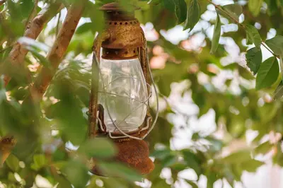 a glass jar is hanging in a tree at GuestReady - Charming retreat in Funchal in Funchal