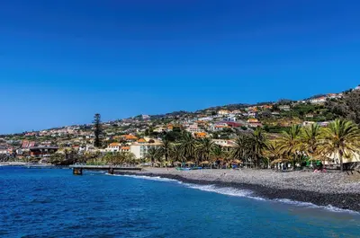 a view of a beach with palm trees and houses at Sunrising Apartment by Atlantic Holiday in Caniço