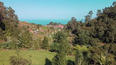 a view of a hill with trees and houses on it at Quintinha de São Jorge in Santana