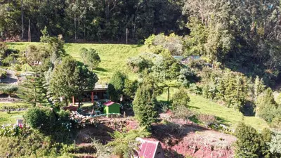 a house on the side of a hill with trees at Quintinha de São Jorge in Santana