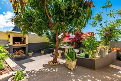 a garden with trees and plants in front of a house at Casa do Manuel Maria in Estreito da Calheta
