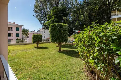 two trees in a yard next to a building at White House I Apartment with Garden View in Funchal