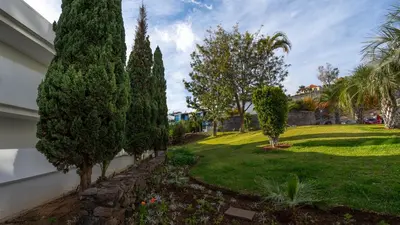 a backyard with trees and a yard with a lawn at Amethyst by LovelyStay in Caniço