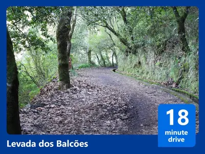 a dirt road with trees and leaves on it at Casa Levada Explorer - Cozy Nights & Easy Meals in Santana