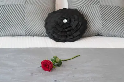 a red rose sitting on top of a bed at Madeira Sun in Funchal