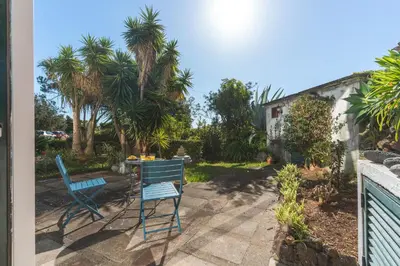 two chairs and a table in a yard with palm trees at Richelieu Apartment by Atlantic Holiday in Água de Pena